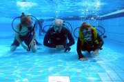 080816_schnuppertauchen048
