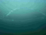 TCD_Eistauchen_LochVonUnten