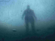 TCD_Eistauchen_durchDasEis1