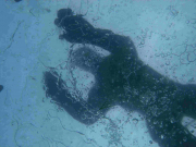 TCD_Eistauchen_durchDasEis3