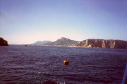 019_17A_kl