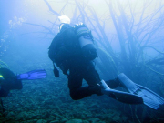 090925-messinghausen_22