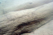 100630-0704_attersee043