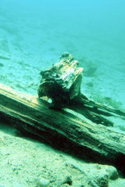 100630-0704_attersee050