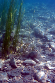 100630-0704_attersee080