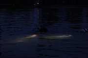 101127_bodensee47