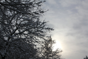 101127_bodensee86