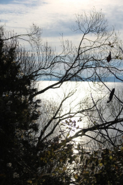 1_101127_bodensee19