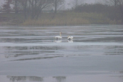 100206_eistauchen38