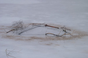100206_eistauchen41