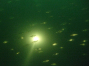 dscf3497