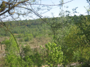 2011-05-07_messel_009_web