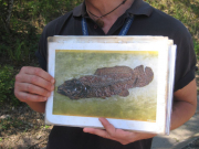 2011-05-07_messel_010_web