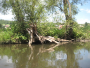 2011-07-16_kanutour_026_web