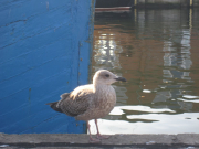 2011-09-28_wismar_007_web