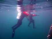 Ausrüstungs- und Bubble Check vor jedem Tauchgang sind obligatorisch