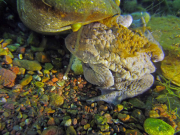 201304-Nordhausen-09