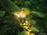 201304-Nordhausen-10