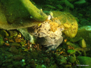 201304-Nordhausen-11