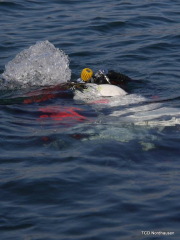 201304-Nordhausen-35