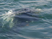 201304-Nordhausen-37