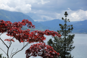 20130530-tcd-schweiz019