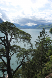 20130530-tcd-schweiz021