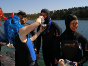 070415_tcd-antauchen06