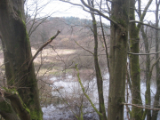 20160320_Biber-345-web