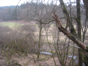 20160320_Biber-346-web