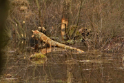 20160320_IMG_0343_1-web