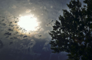 2016_ah_008