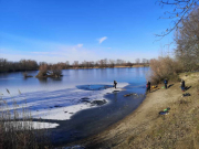 IMG-20210215-WA0002