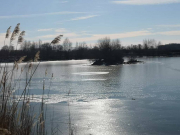 IMG-20210215-WA0006