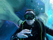 DCIM100GOPROGOPR1973.JPG