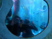 DCIM100GOPROGOPR1991.JPG