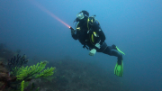 DJI_20250711095036_0017_D