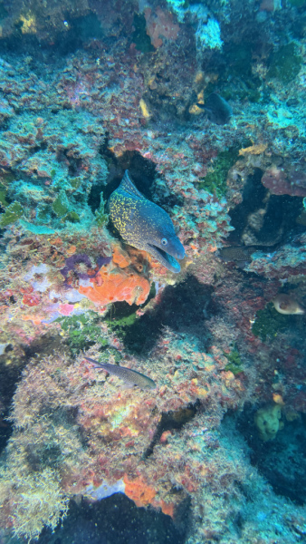 IMG_3796