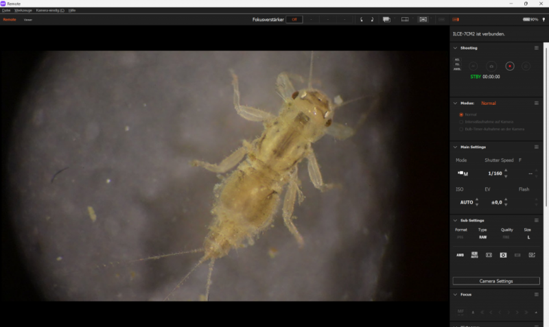 Screenshot-2025-10-11-155947