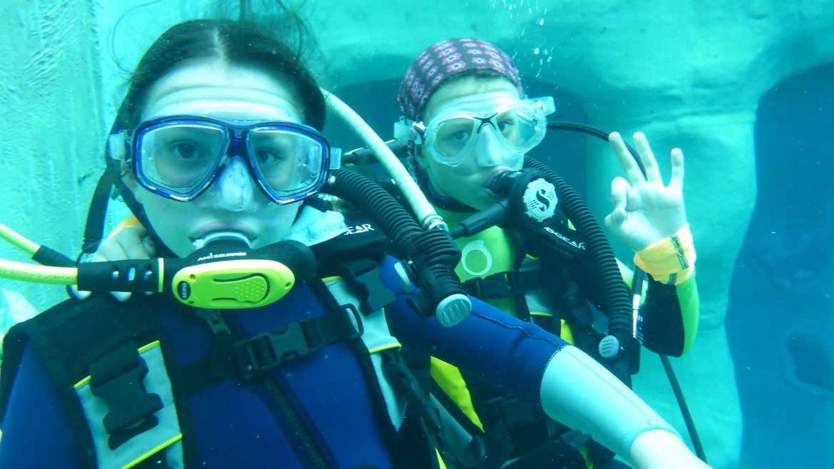 Erfolgreicher Nachwuchs Dreieich e.V. Langen